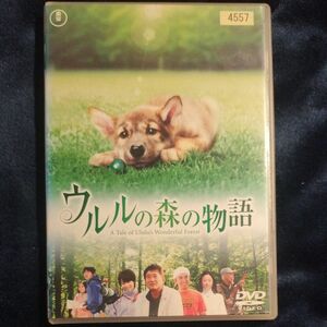 ウルルの森の物語 DVD 東宝 レンタル落ち