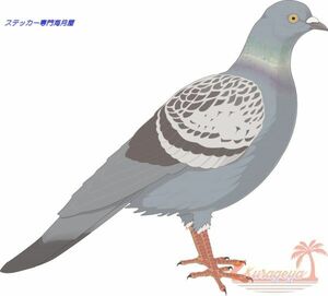 鳥のステッカー　リアルタッチ　カワラバト