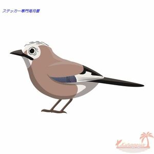 鳥のステッカー　デフォルメtype2　 カケス