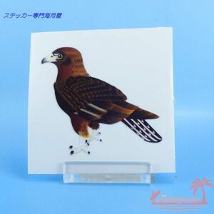 鳥のステッカー　デフォルメtype2　 イヌワシ