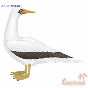 鳥のステッカー　リアルタッチ　ナスカカツオドリ