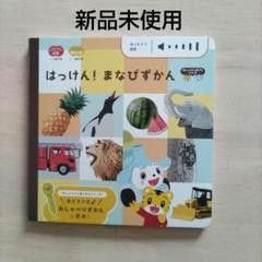 【こどもちゃれんじぽけっと】はっけん！まなびずかん