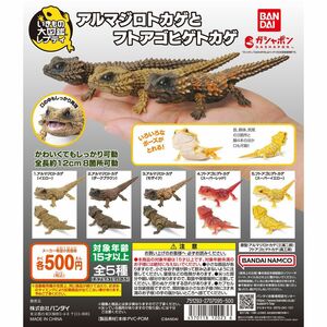 いきもの大図鑑レプティ　アルマジロトカゲとフトアゴヒゲトカゲ　全5種セット　レア込み　新品未開封