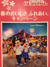 レシート懸賞 東京ディズニーリゾート パークチケット ペア 東京ディズニーシー 貸切ご招待 ディズニーシー ディズニー プリマハム_画像1