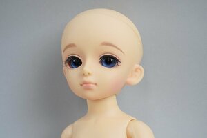 ★ VOLKS ボークス 幼SD アン 26番 女の子 ドール / アウトフィット無し ウィッグのみ ドルパ14限定