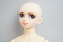 ★ VOLKS ボークス スーパードルフィー SD13 男の子 SD-F-19 ドール ワンオフモデル / アウトフィット無し_画像1