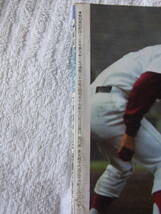 b5206　報知高校野球 1982年 NO.6 大特集 池田 優勝の秘密と蔦監督の30年_画像2