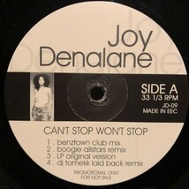 Joy Denalane Featuring Scorpio / Can't Stop Won't Stop_画像1