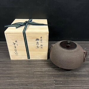 金森紹栄 貝鐶付 弾肌 撫肩釜 風炉釜 茶釜 鉄釜 鉄製 茶道具 共箱　011109w/T21（120）