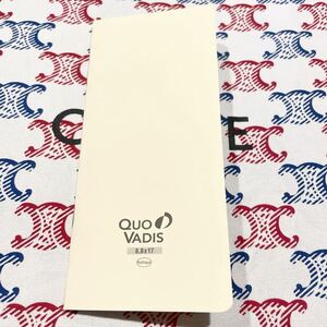 Quo Vadis・クオバディス・ビソプランサイズ・世界地図・未使用品・手帳・世界地理