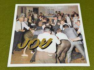 送料無料！ Idles Joy As An Act Of Resistance ピンク盤