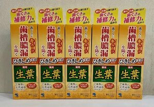 ☆小林製薬 生葉(しょうよう) ひきしめ実感タイプ 100g 新品未開封 5本セット 送料込☆