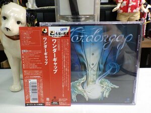 角1｜美品！★ CD / w/OBI / AOR ★WONDERGAP ワンダーギャップ