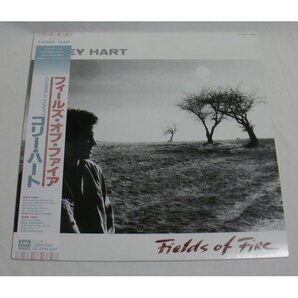 LP「コリー・ハート/フィールズ・オブ・ファイア」1986年「好きにならずにいられない」収録 帯付ジャケ良好/再生良好