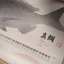 釣り フィッシングカレンダー SHIMANO 魚拓 2024年/令和6年 シマノ 大型壁掛けカレンダー 店名印無 甘鯛 アマゴ 餌釣りフライフィッシング_画像3