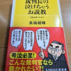 裁判長の泣けちゃうお説教 : 法廷は涙でかすむ