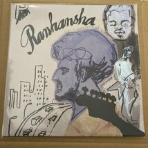 Petrolz / 乱反射 ペトロールズ ranhansha レコード アナログ盤_画像1