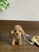 かわいい犬のフィギュアキーホルダー♪　トイプードル　トイプー　アプリコット　キーリング_画像4