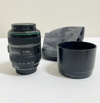 超美品【キャノン】EF70-300mm F4.5-5.6 DO IS USM《フード・ソフトケース付き》_画像1