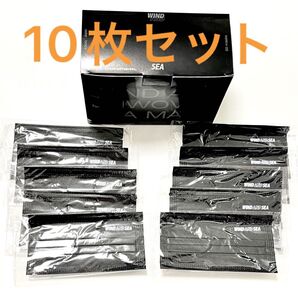 WIND AND SEA 不織布マスク 10枚セット