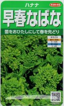 ※処分※　●はなな●　【早春なばな】　サカタのタネ_画像1