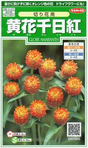 ★注意★発芽有効期限切★　◆千日紅◆　【黄花千日紅切花用】