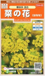 ※処分※　◆菜の花◆　はなな　【寒咲系混合】　サカタのタネ