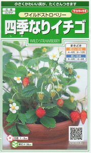 ◆四季なりイチゴ◆　【ワイルドストロベリー】　サカタのタネ