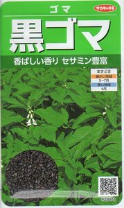 ●ゴマ●　【黒ごま】　サカタのタネ