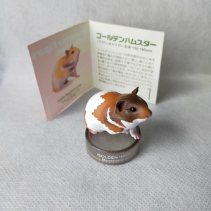 ハムスターズランチ　No.1 ゴールデンハムスター ブラウン＆ホワイト 2002 ハムスター フィギュアコレクション Golden Hamster 北陸製菓 Θ