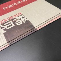 中国書道古書一括 大判 北斉于孝卿墓志/篆隷磚書五種ほか　書画拓本碑帖墓誌漢字_画像9