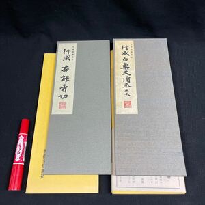 書道古書一括　和漢墨寶選集　第四、十二巻　行成白楽天/本能寺切　かな名跡書法