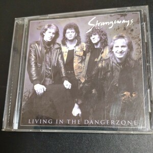 STRANGEWAYS /LIVING IN THE DANGERZONE ★ストレンジウェイズ