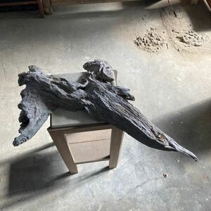 重量木 1.7kg 66cm 流木 枯木 天然木 オブジェ コレクション