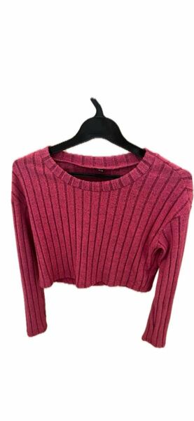 ピンクショート丈Tシャツ、セーター セーター