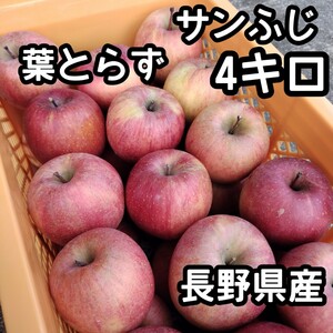 【稀少】【数量限定7セット】【葉とらずりんご 4kg】サンふじ サンフジ さんふじ 葉取らず リンゴ 林檎 アップル Apple 家庭用 長野県産