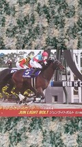 競馬　ジュンライトボルト　JUN LIGHT BOLT 第２３回チャンピオンカップ（ＧⅠ）中京競馬場 ＱＵＯカード クオカード ５００【送料無料】_画像3