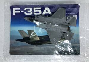 1/144 F-35A ライトニングII アメリカ空軍第33戦闘航空団第58戦闘飛行隊所属機 08－0747機 ♯2 現用機コレクション 23弾 電光、武士の未来