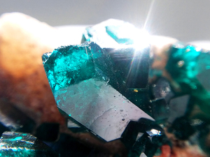 宝石質含む ダイオプテーズ 翠銅鉱 クラスター 結晶 原石 標本 約163ct コンゴ産 10