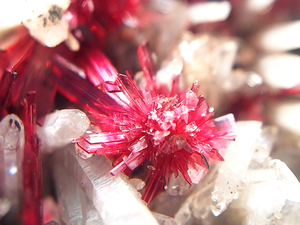 お花 良品質 エリスライト＆クォーツ クラスター コバルト華 宝石質 結晶 原石 標本 約67ct モロッコ産 9