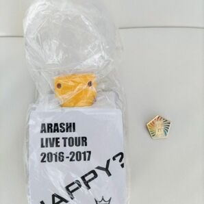 嵐 ペンライト 5×20 Are You Happy？ 嵐フェス'13 　バッジ