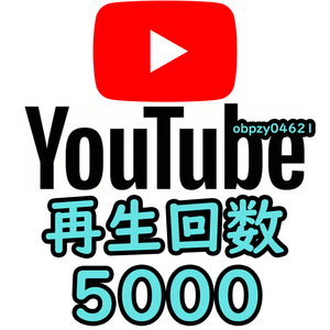 【収益化可能】Youtube 再生回数 5000回 減少生涯保証 収益化可能 操作不要 URLのみでOK / ユーチューブ 再生数 視聴回数 