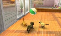 nintendogs + cats トイ・プードル & Newフレンズ - 3DS_画像3