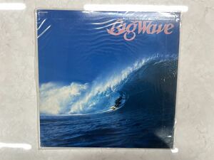 LP レコード　山下達郎　Big Wave ビッグウェイブ　MOON-28019 シュリンク付き