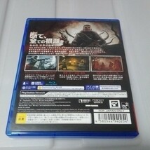 送料無料　PS4ソフト　レムナント：フロム・ジ・アッシュ　中古_画像2