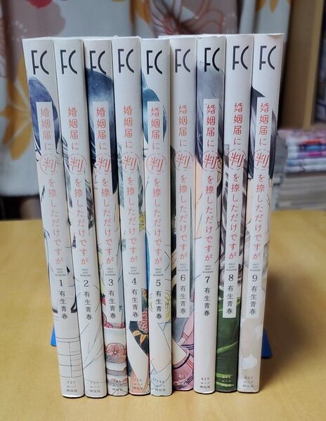 【処分値下げ】婚姻届に判を捺しただけですが　1~9巻