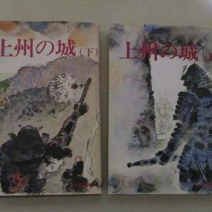LK086(2冊) 上州の城 上・下 上毛新聞社 / 群馬県 前橋城 高崎城 箕輪城 金山城 館林城 松井田城 平井城 他の画像1