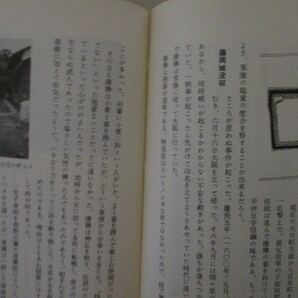 LK086(2冊) 上州の城 上・下 上毛新聞社 / 群馬県 前橋城 高崎城 箕輪城 金山城 館林城 松井田城 平井城 他の画像10