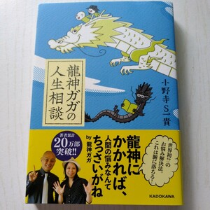 龍神ガガの人生相談 小野寺Ｓ一貴／著