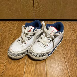 AIR JORDAN 3 RETRO BT True Blue 16.5㎝